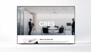 professional web design services