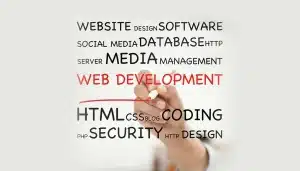 Web Development Service Drive Digital Excellence with Us